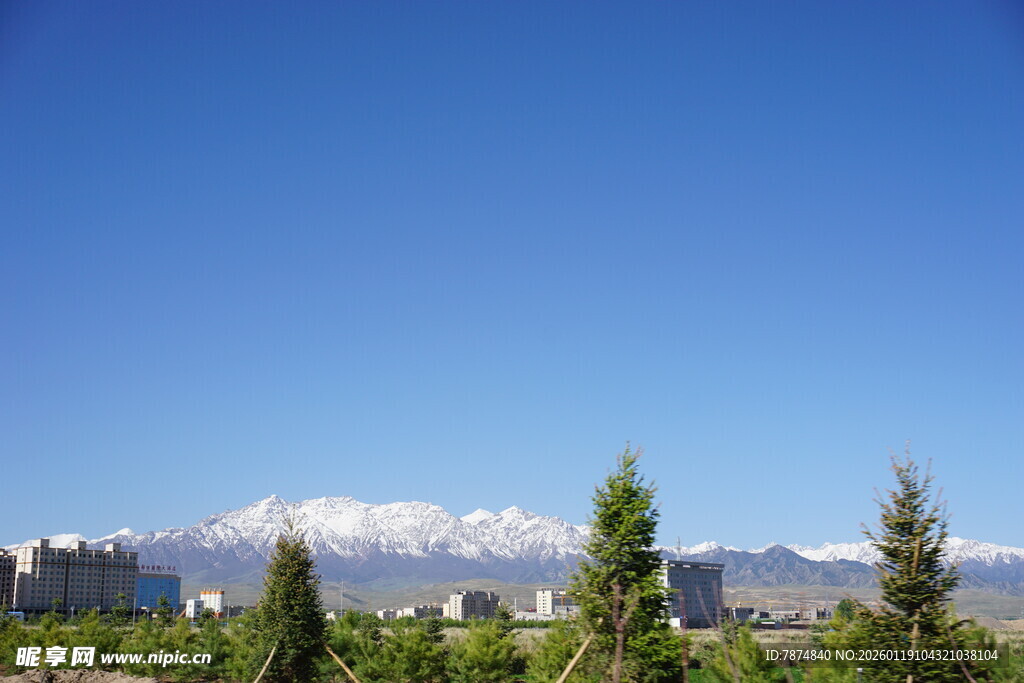 雪山下的葱郁树木景观