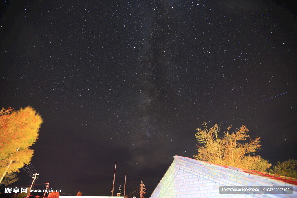 夜空下的金黄树木与建筑