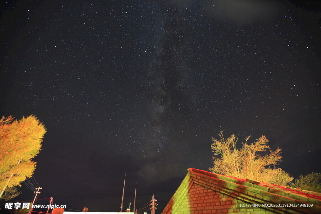 秋夜星空下的多彩树木