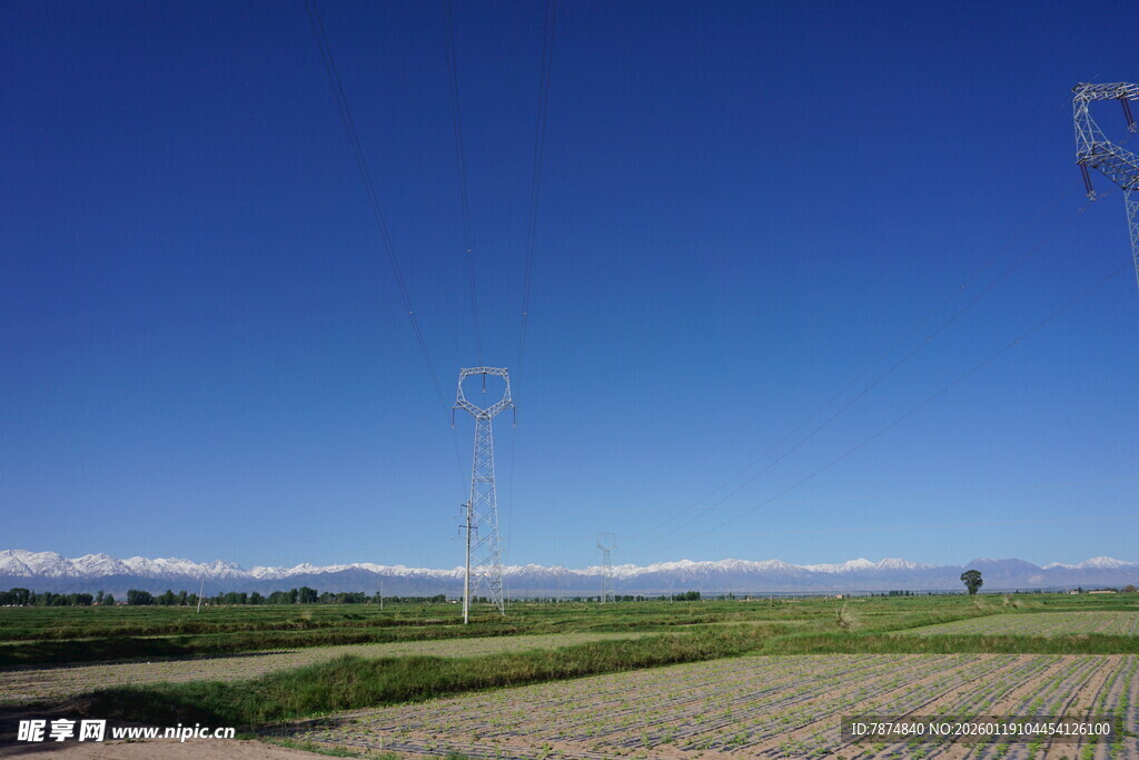 田野蓝天间的高耸电线杆