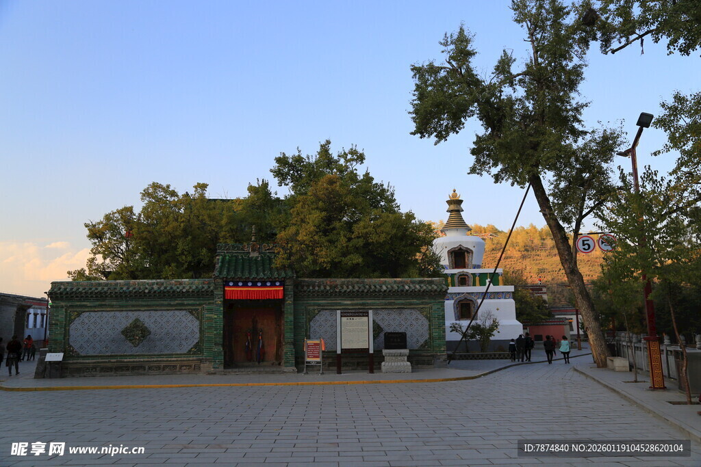 城市街边建筑与绿树景观