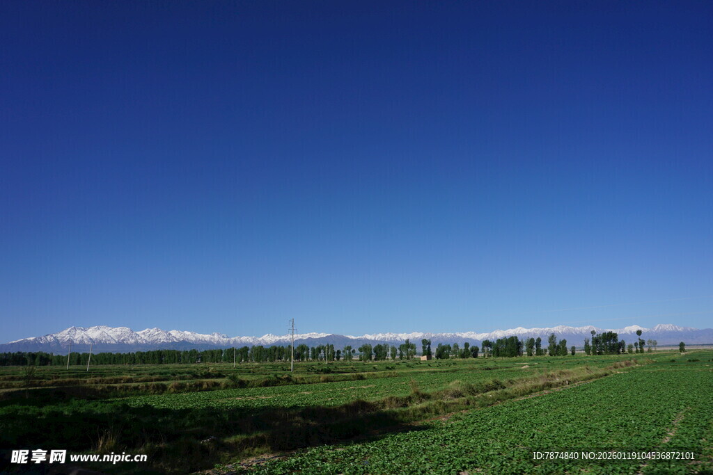 广阔田野与蓝天美景