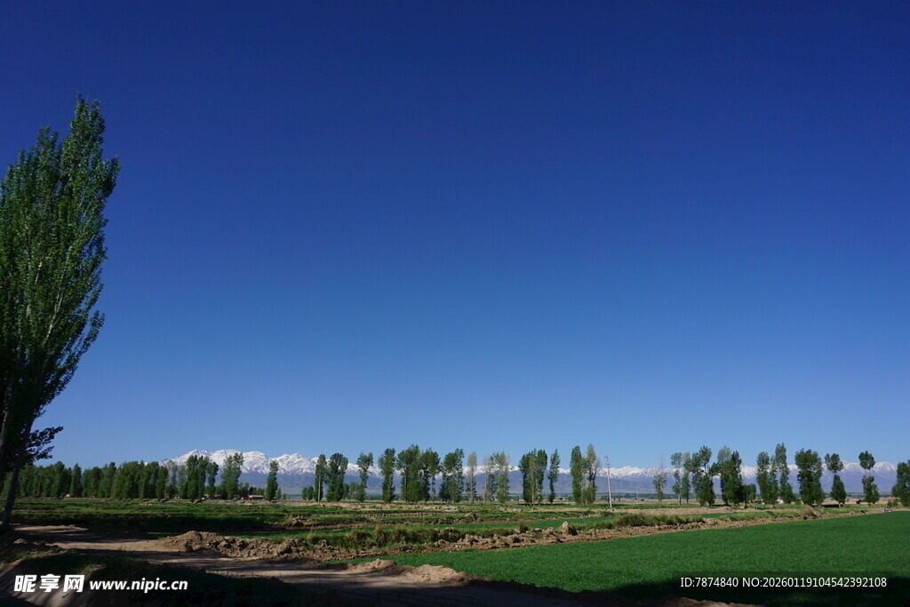 蓝天绿树田野风光美景