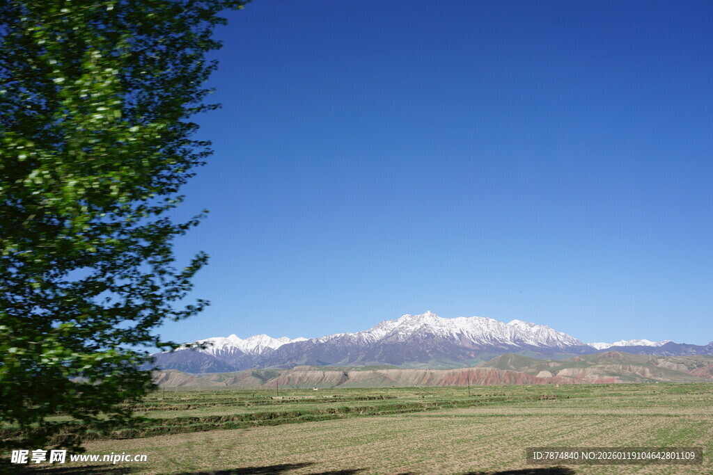 草原远景与雪山绿树