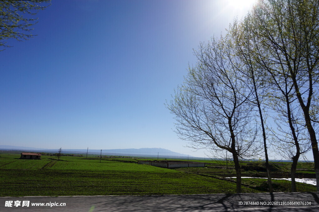 春日田野风光