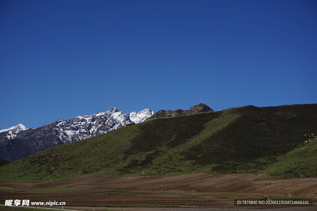 雪山下的翠绿山坡