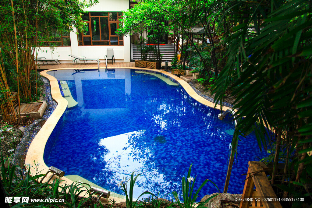 热带庭院中的蓝色泳池