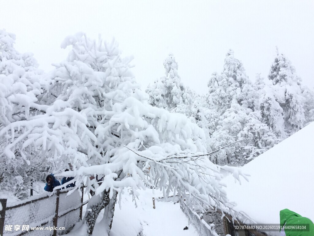 雪覆山林美景