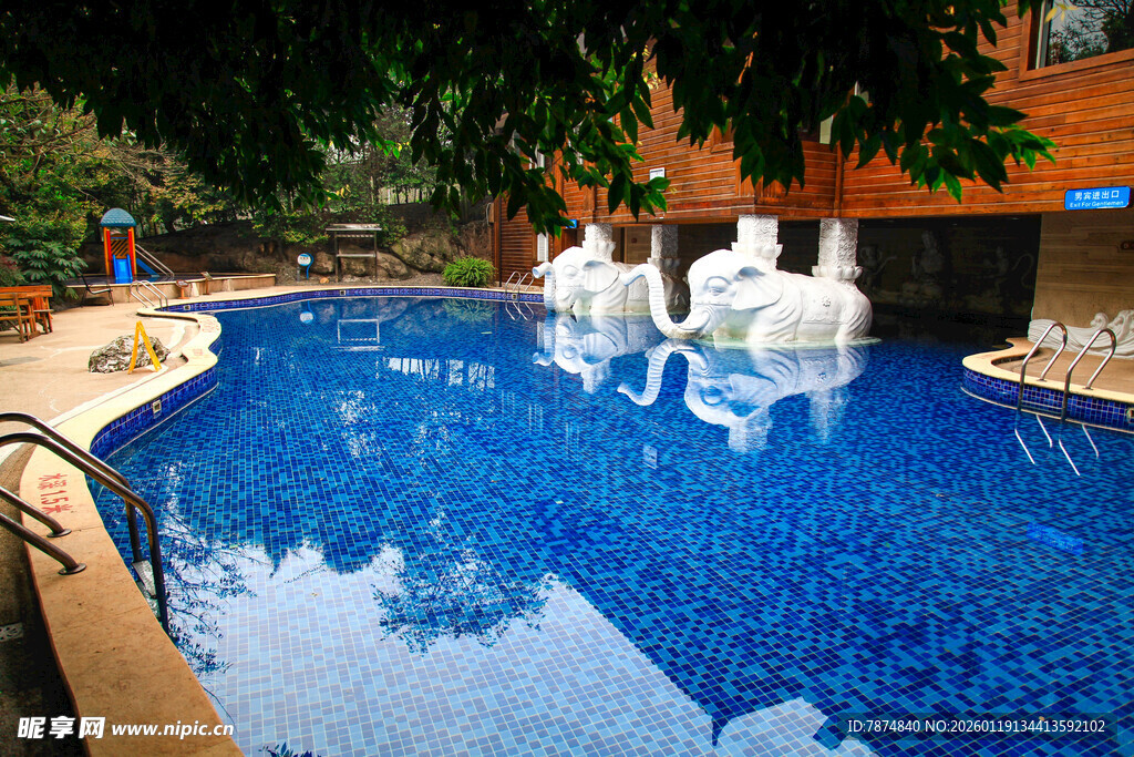 豪华户外泳池景观