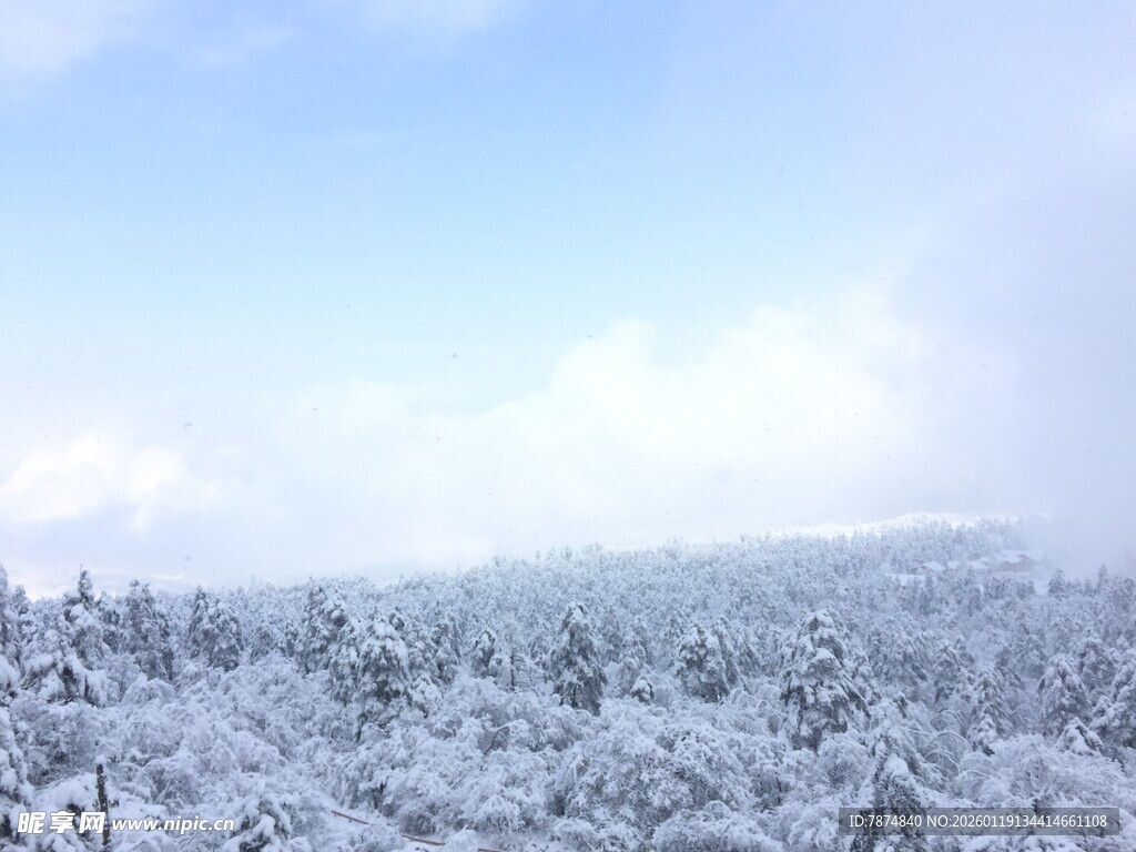 冬日雪景中的银白森林