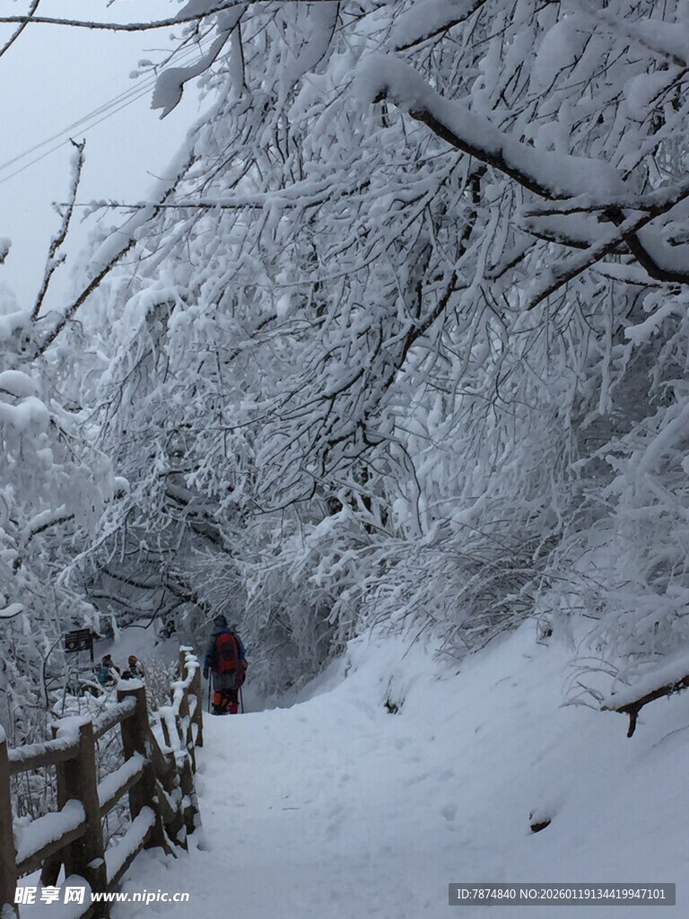 雪覆山林中的漫步小径