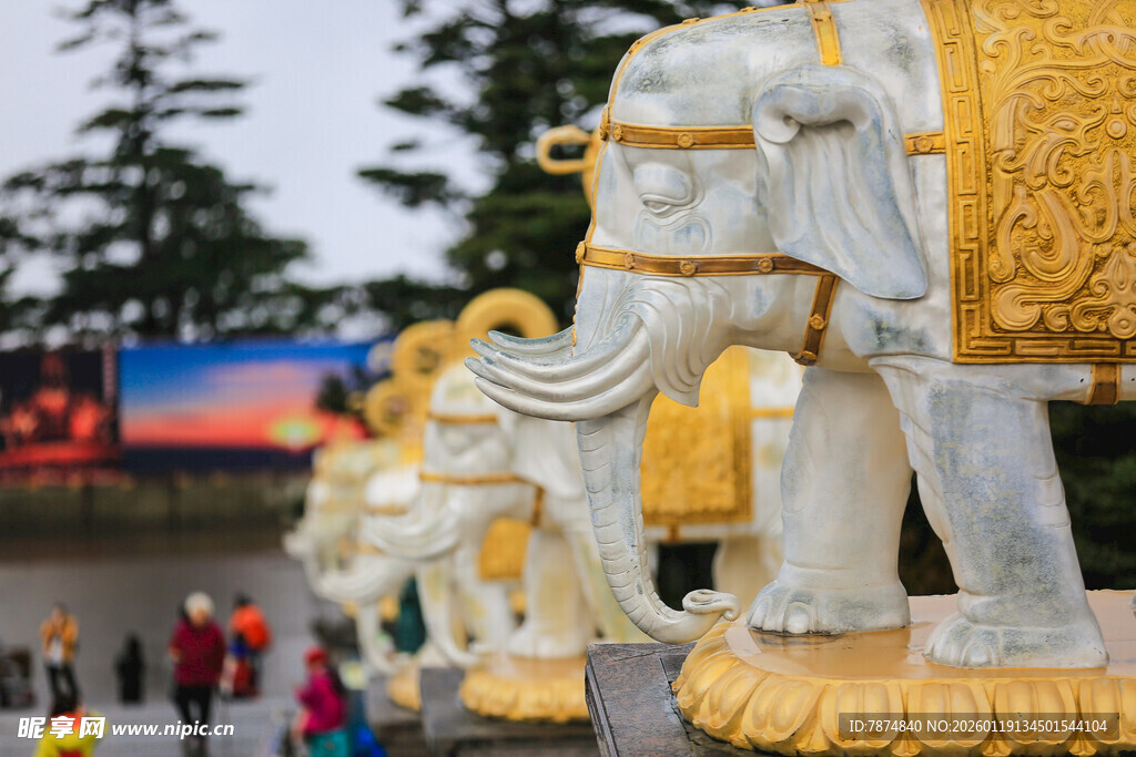 金色装饰大象雕塑景观