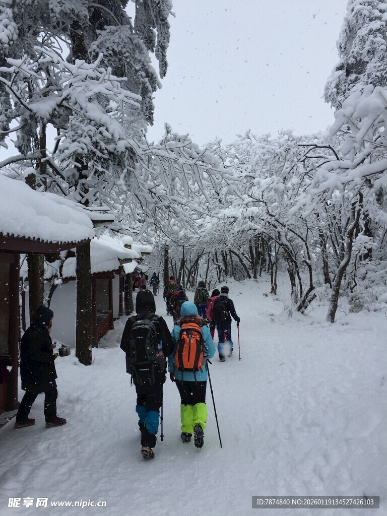雪后林间行人漫步赏景