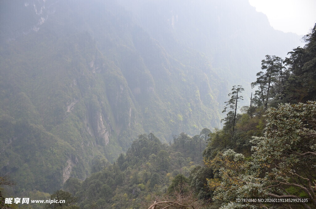 山间葱郁景致