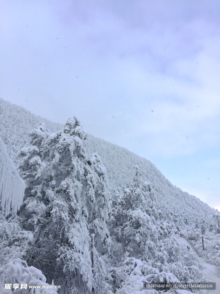 雪覆山林美景