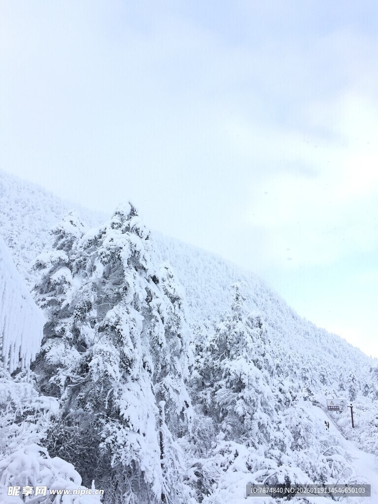 雪覆山林美景
