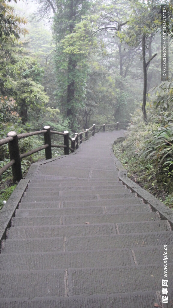 林间幽静步道