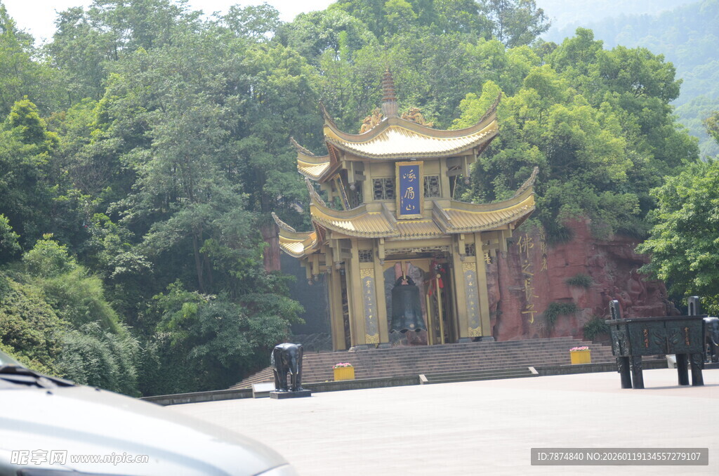 中式古亭立于葱郁林间