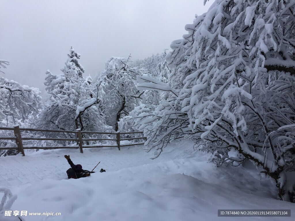 雪覆树木间的休闲场景
