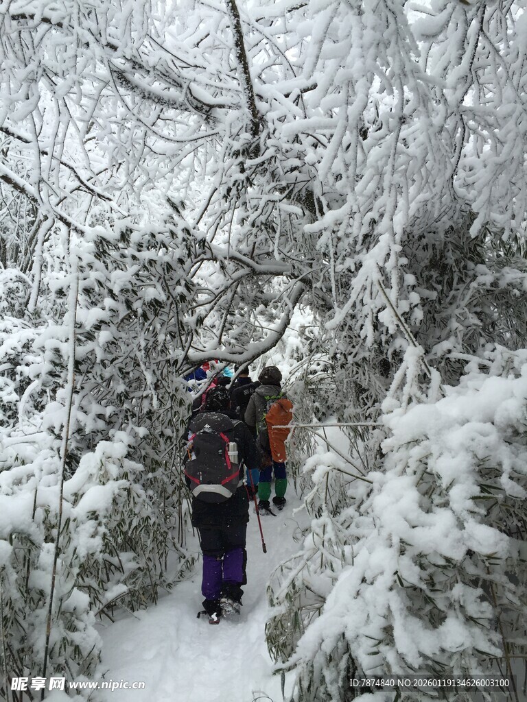 雪地徒步者穿行于雪覆树林