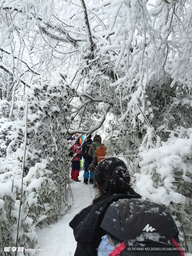 雪林徒步队伍