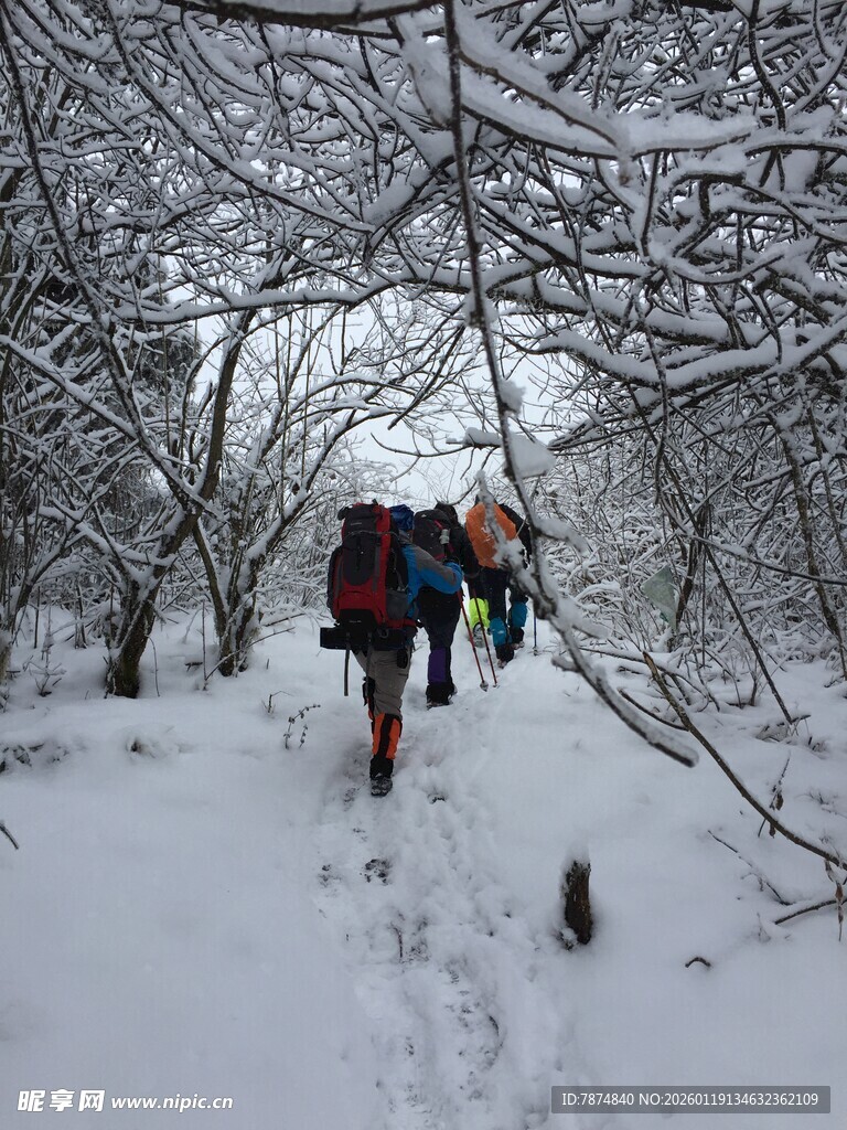 雪地徒步者穿行于树林间