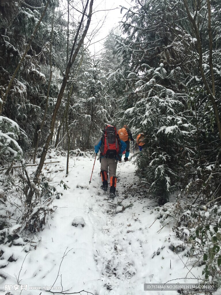 雪地林间徒步者