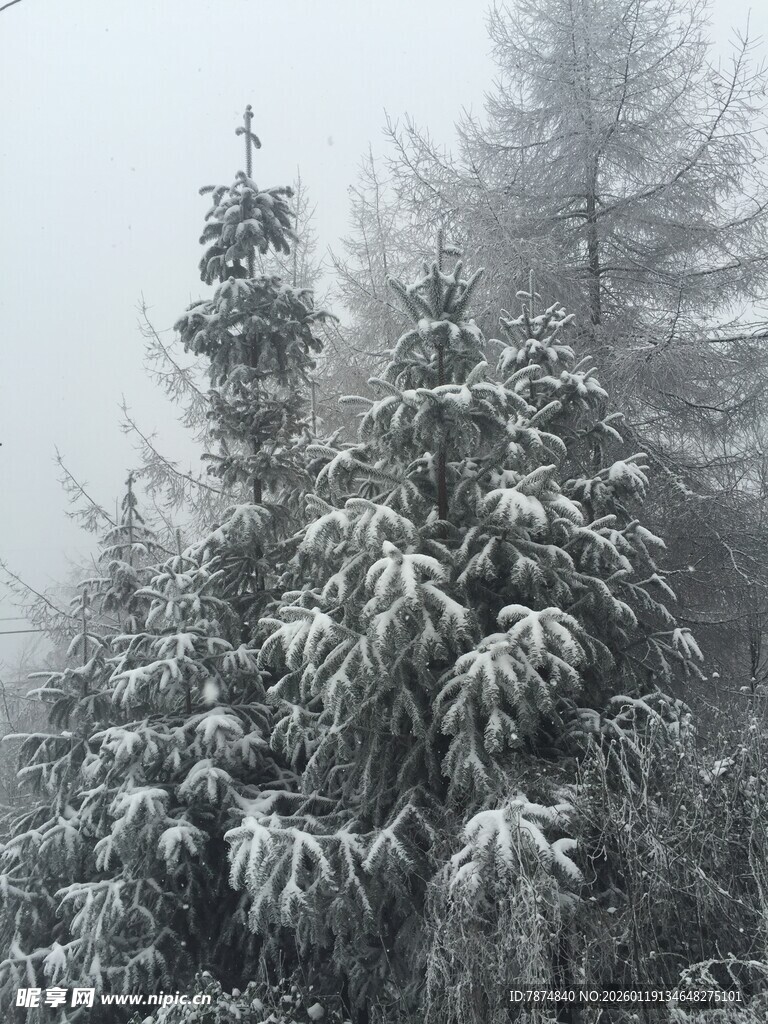 雪覆山林美景