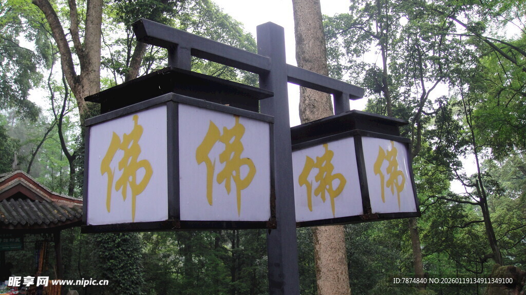 中式古典灯笼悬挂于林间