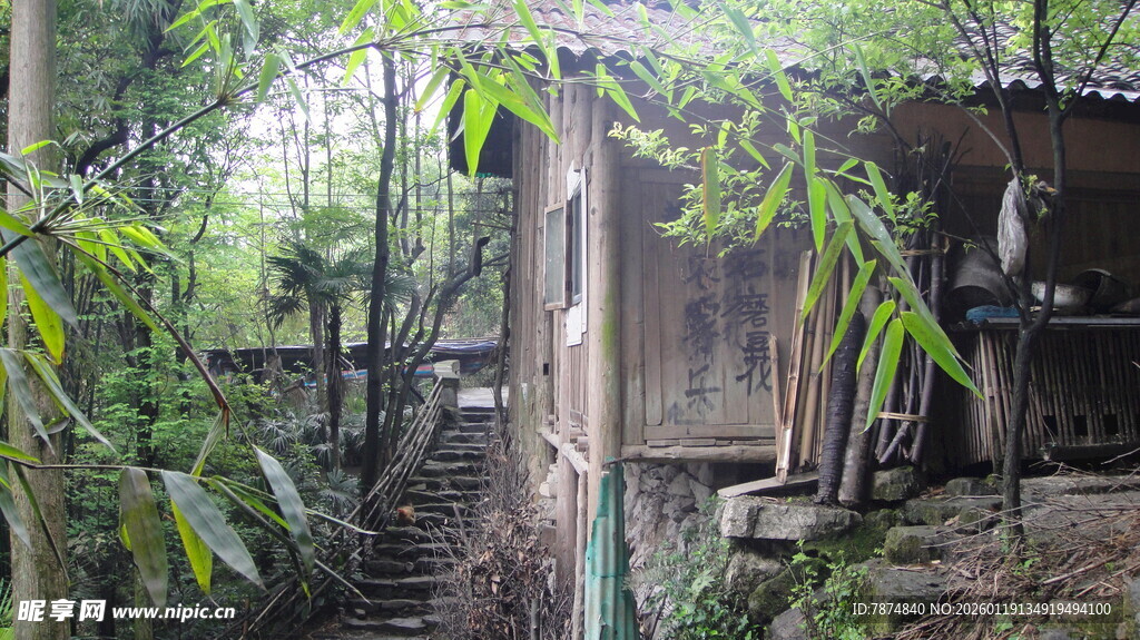 林间小屋 隐匿于绿意之中