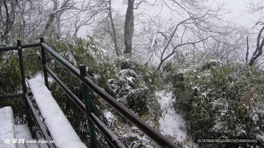 雪覆山林中的观景步道