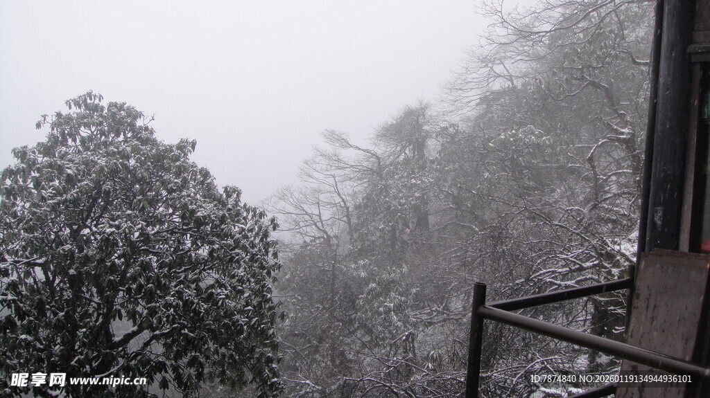 雪覆山林的窗前景致