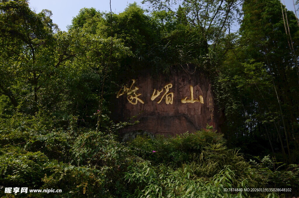被绿植环绕的石碑