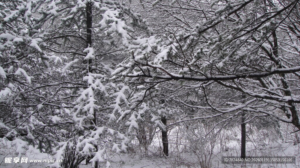 雪覆输电塔 冬日电力景观