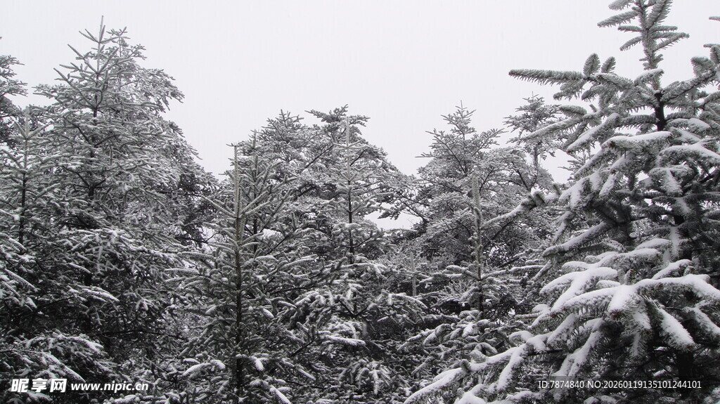 雪覆山林美景
