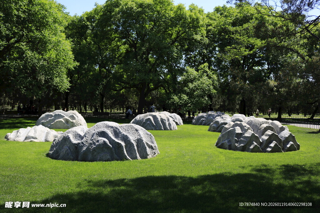 草地上的奇特石头景观