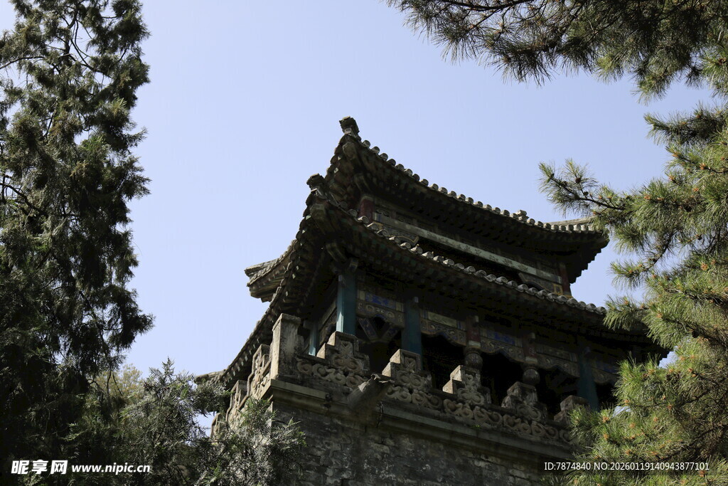 古建楼阁隐于葱郁林间