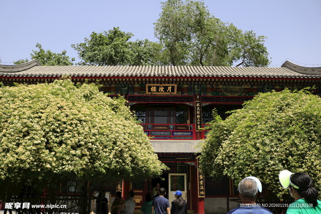 中式古建前繁茂绿植景观