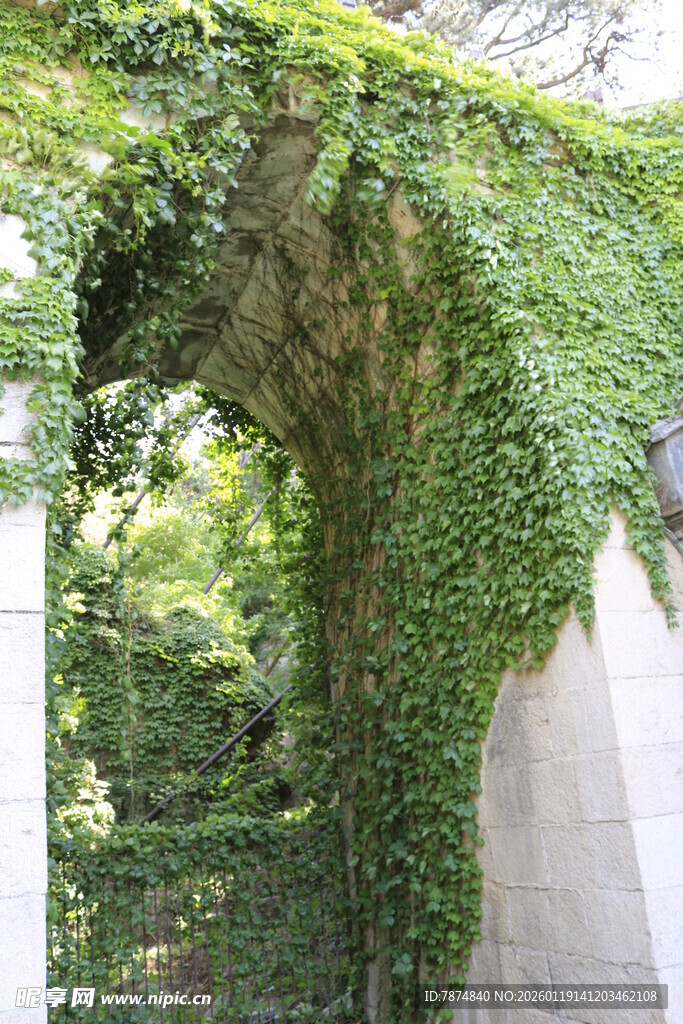 藤蔓覆盖的古朴石拱门