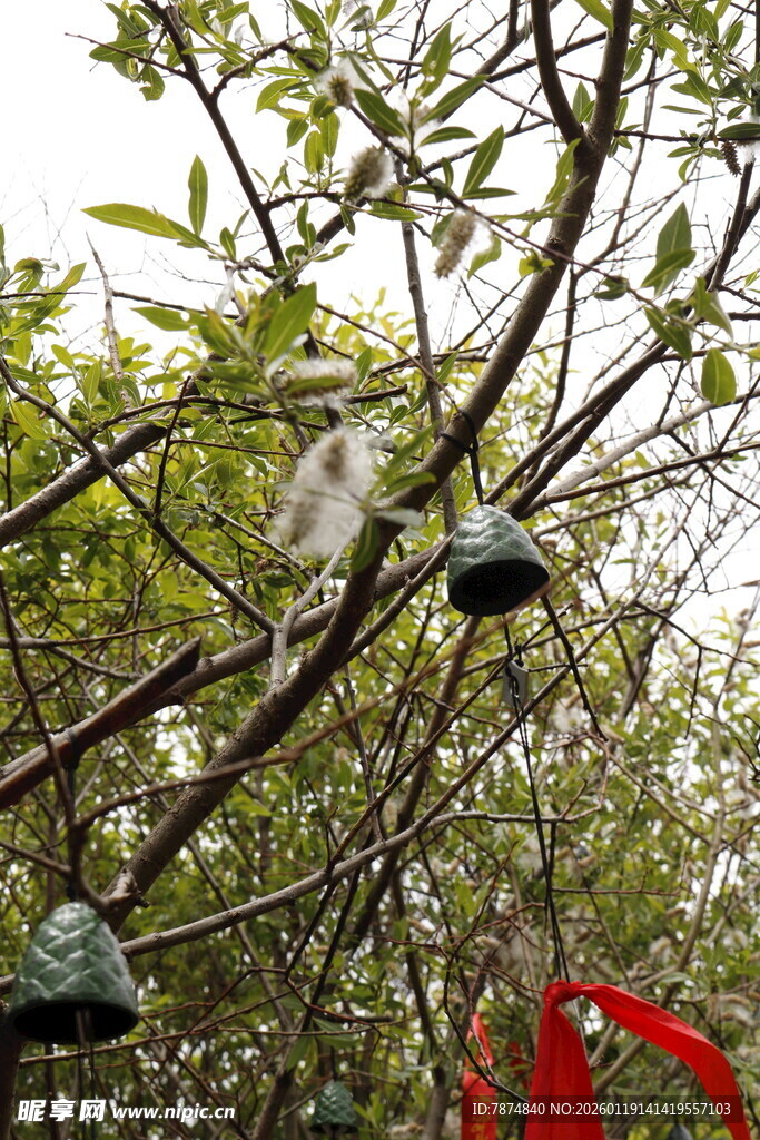 树上悬挂的多彩装饰物