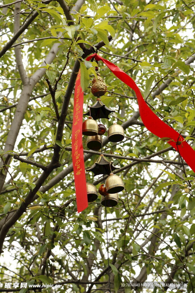 树上挂饰 红绸与铃铛