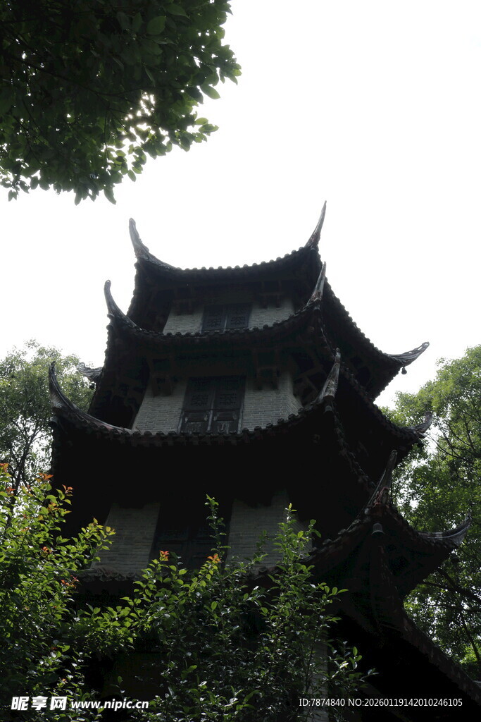 中式古亭隐于葱郁绿树间