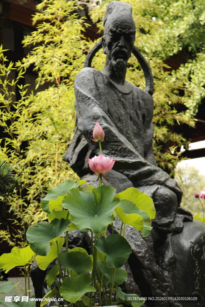 禅意僧人像与盛开荷花