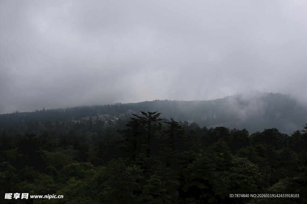 云雾缭绕的山林景观