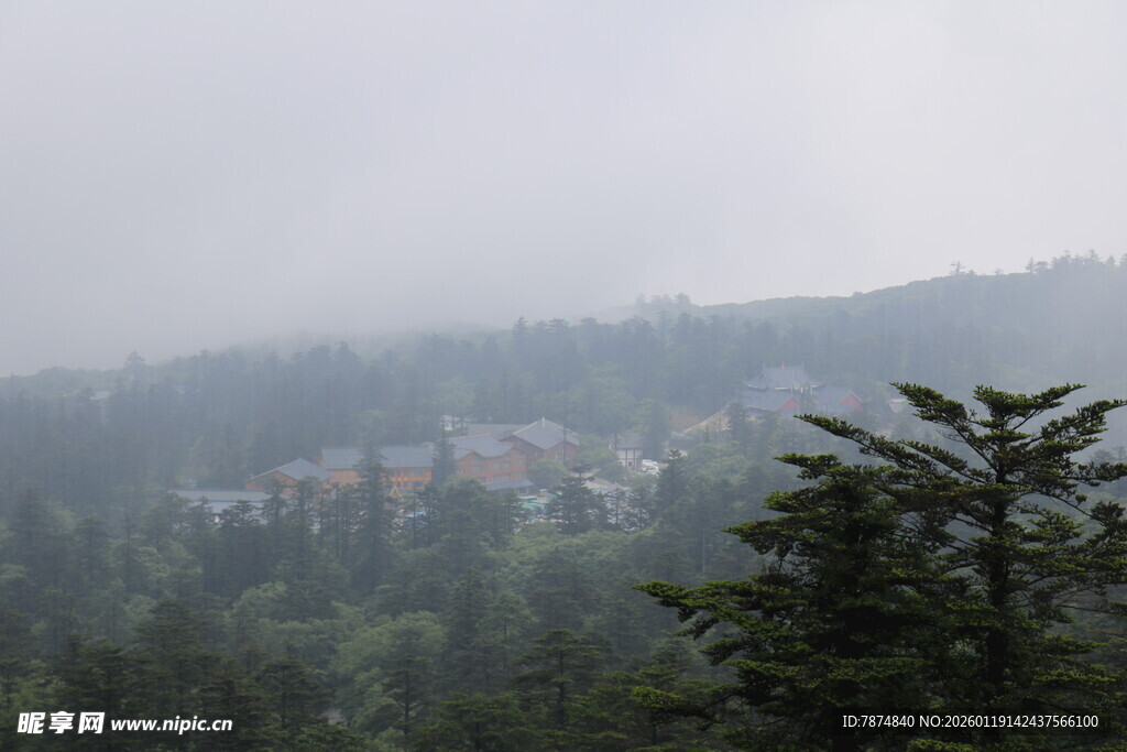 雾中山林与远处建筑景观