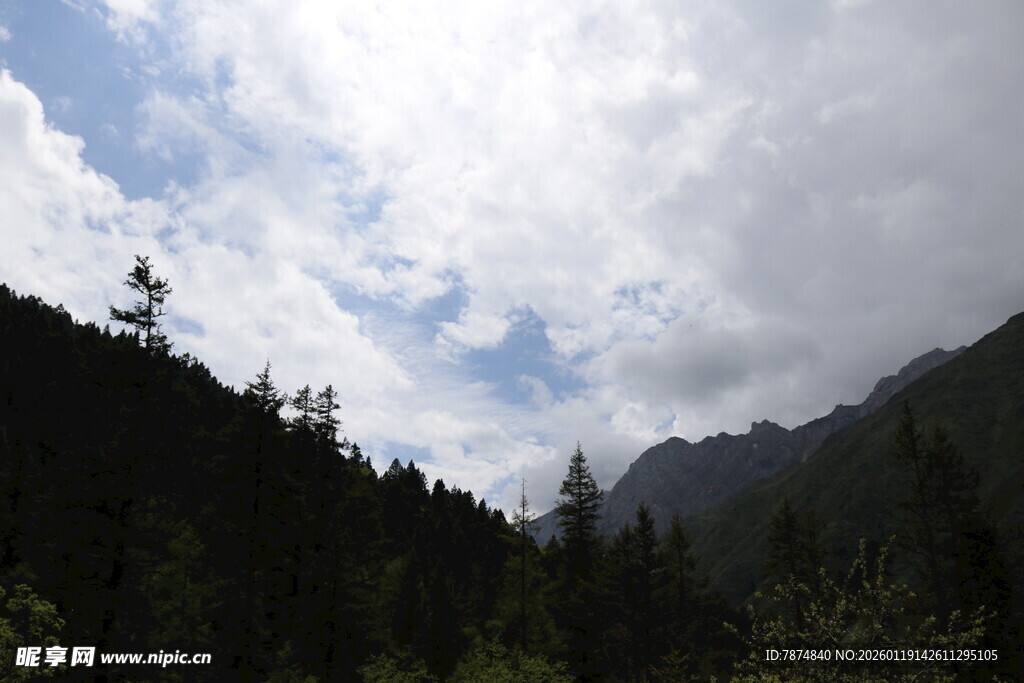 山间云雾缭绕的森林美景