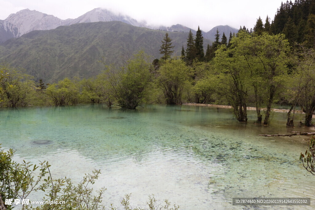 山间碧湖翠林美景