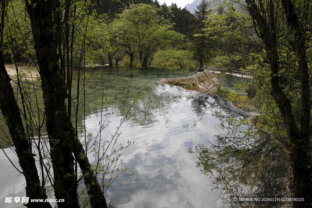 林间溪流风景