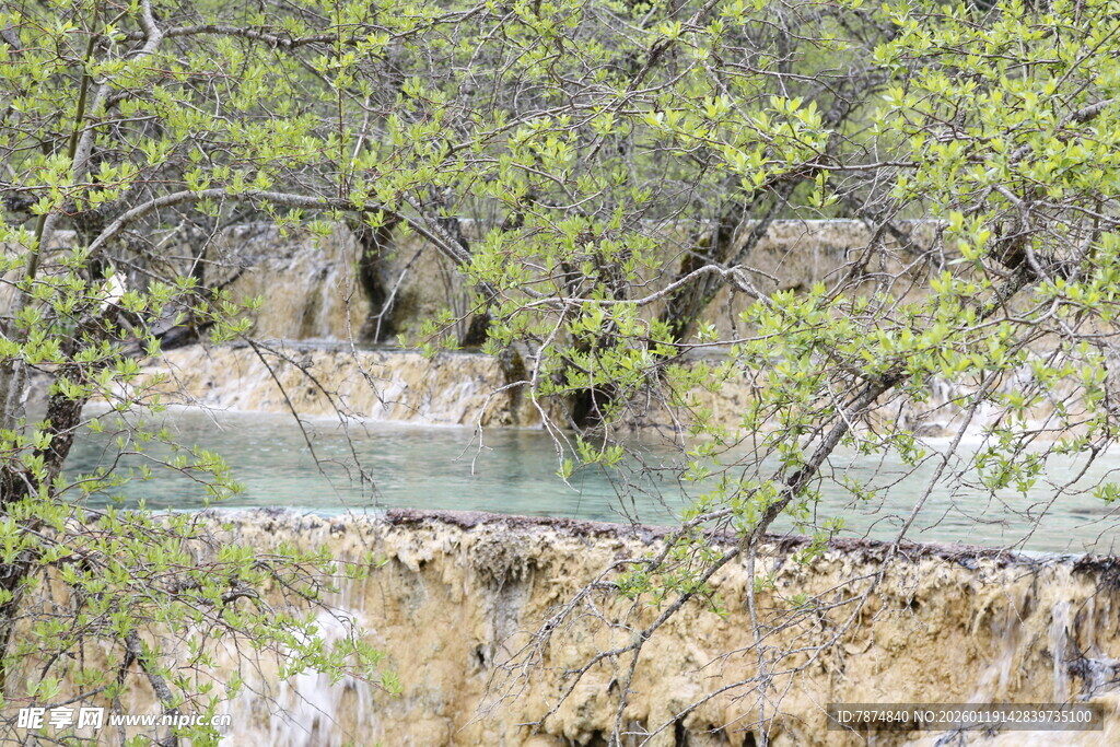 山间溪流穿林而过