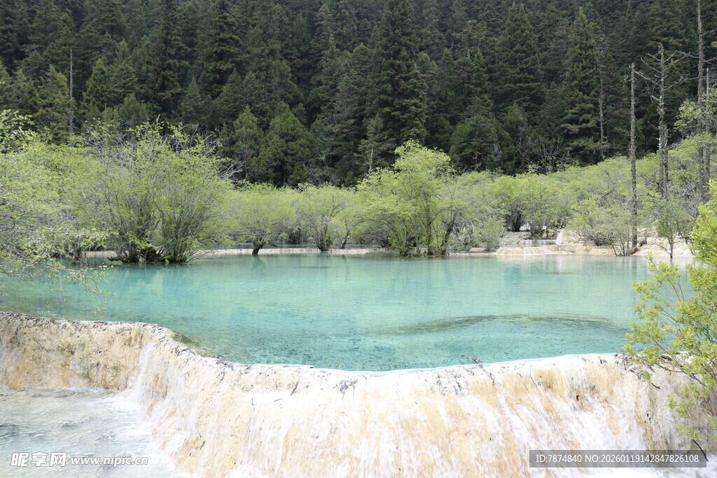 蓝绿色湖水旁的葱郁山林